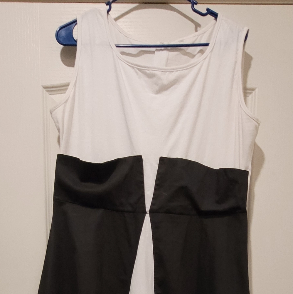 Rockabilly style fit and flare dress